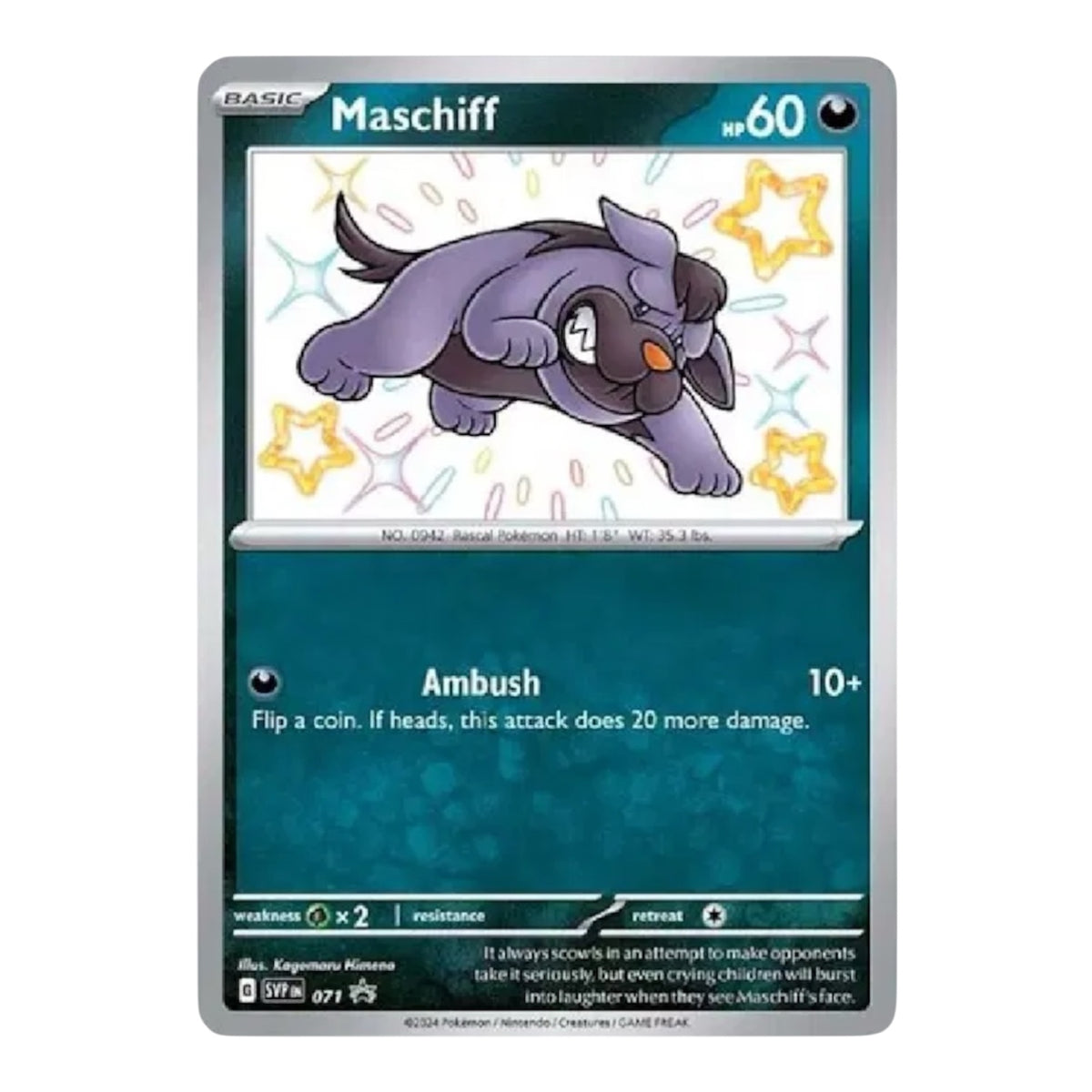 Maschiff Black Star Promo 071