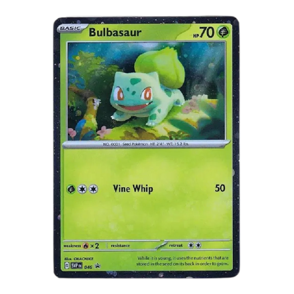 Bulbasaur Black Star Promo 046